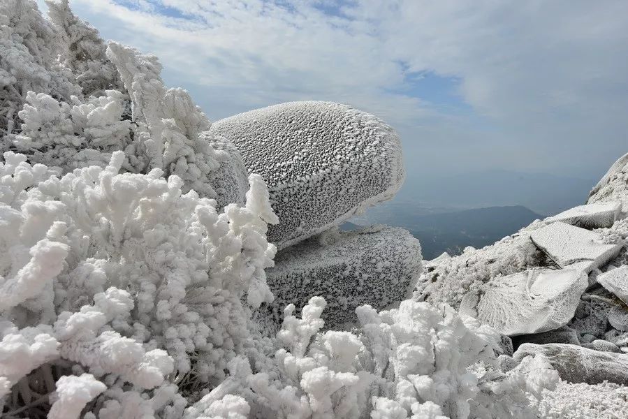 今日大雪可还记得去年梁野之巅一起赏过的雪景愿我心中暖驱走你冬寒