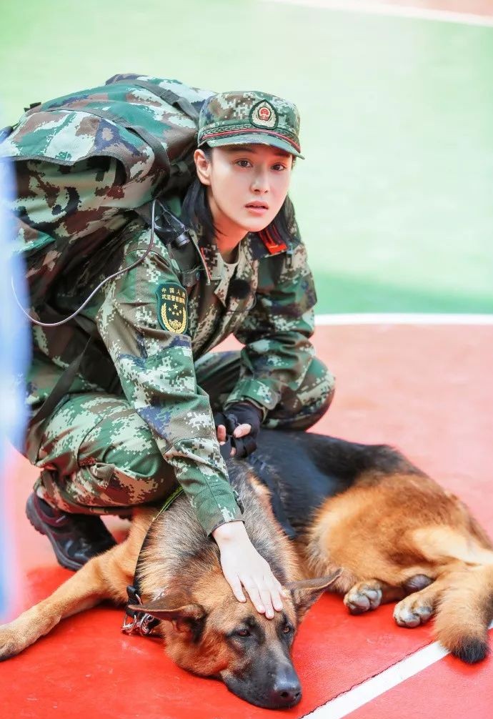 《奇兵神犬》节目类型和《真正男子汉》相似,张馨予的圈粉套路也和