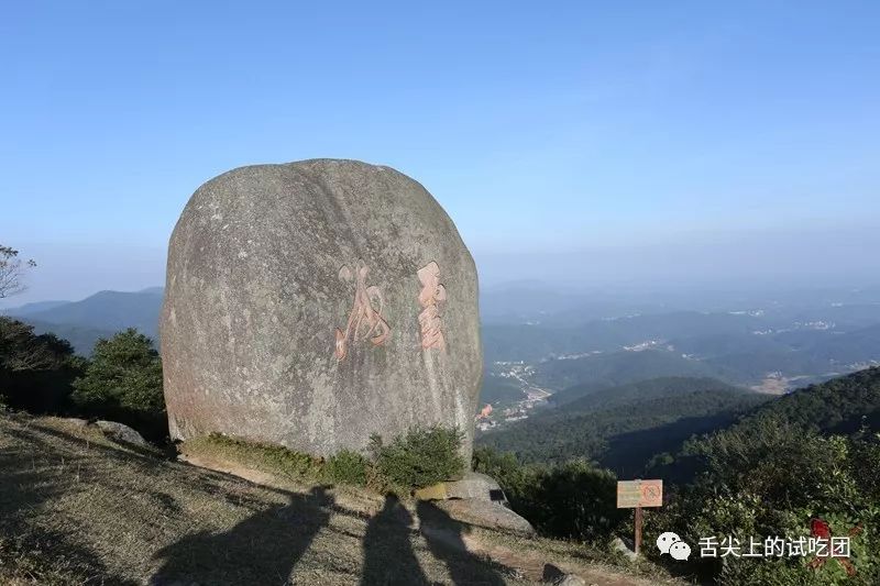 又到生蚝肥美时,在广西钦州来一场蚝门盛宴