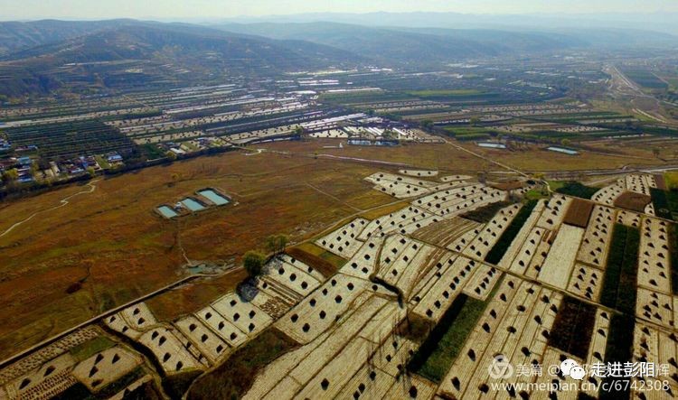 时间:2017年11月1日 地点:彭阳县古城镇高庄村  返回搜