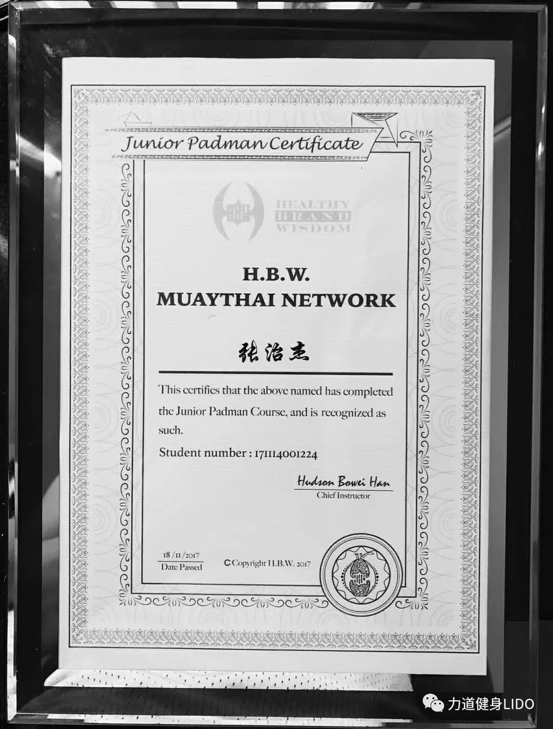 hbw欧式泰拳公开课强势来袭——力道健身!