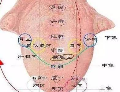 1,强五脏,健脾保胃