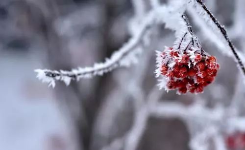 像初雪一样靠近你简谱_初雪钢琴简谱(3)