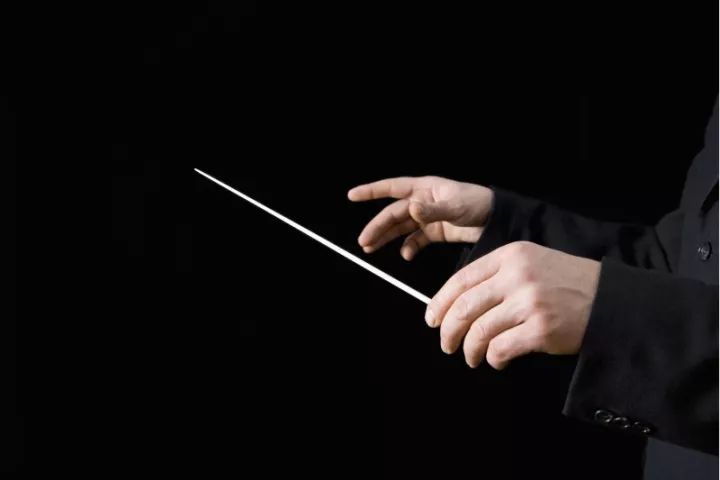 是所有的演奏指挥家都会使用指挥棒然而事实上就是乐队指挥者手中的那
