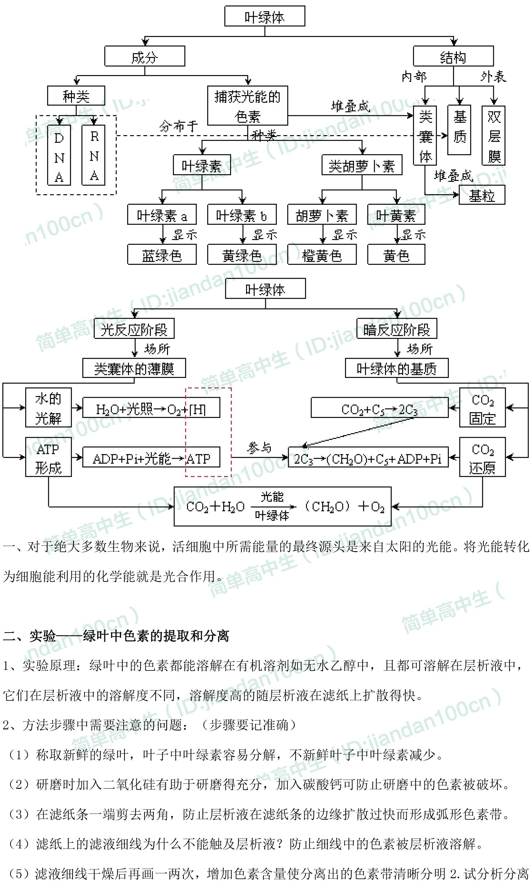 高中生物必修一 第五章【细胞呼吸,光合作用】知识点整理,整本书最