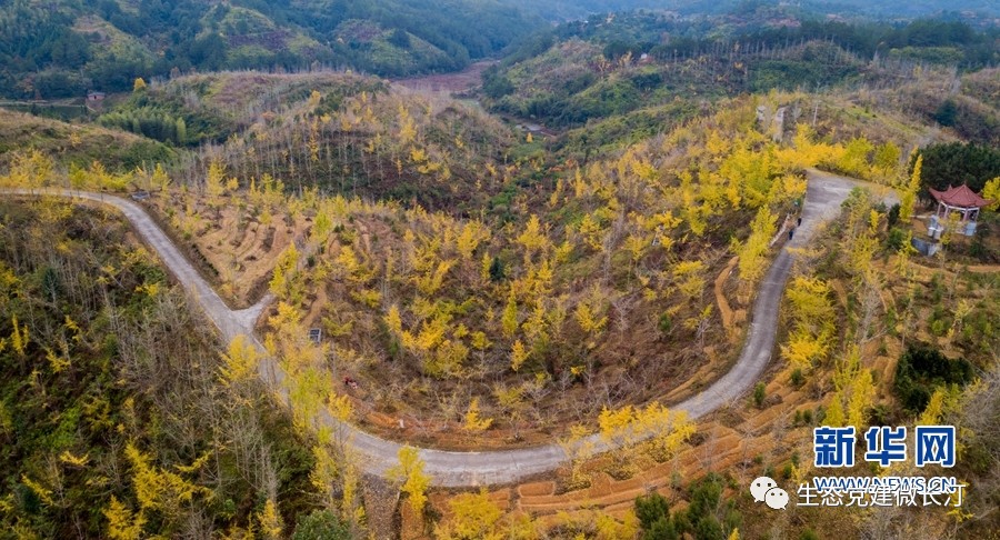 长汀策武人口_长汀旅游必去十处景点(3)