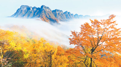 千年古道绕雄山(人文中国·古道春秋)