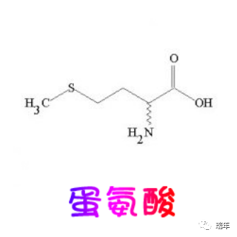 甲硫氨酸(蛋氨酸)