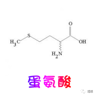 氨基酸行业中国药典收载的氨基酸原料药