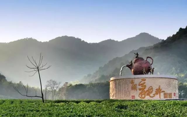 西湖龙井的产地为您解码杭州龙坞茶镇