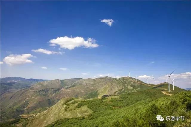 摆大山生态林岔河乡平菁梁子海拨2879米风力发电牛栏江威宁海拉平菁