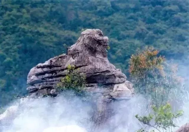 品尝特色喜宴;  收客年龄:25-74周岁 景点介绍 三衢石林风景区以