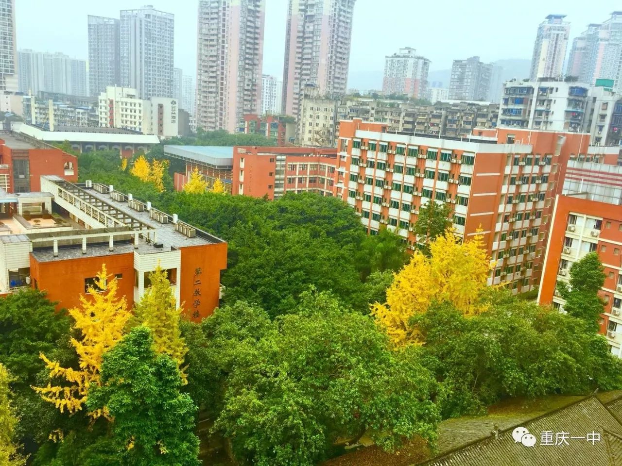 重庆一中校园美景美得让人陶醉