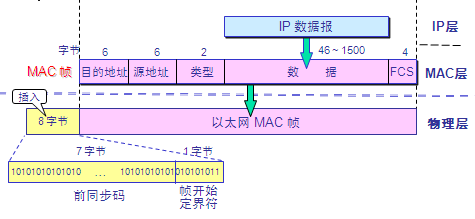 人口膨胀名词解释_非网络专业开发人员专有网络名词解释大全