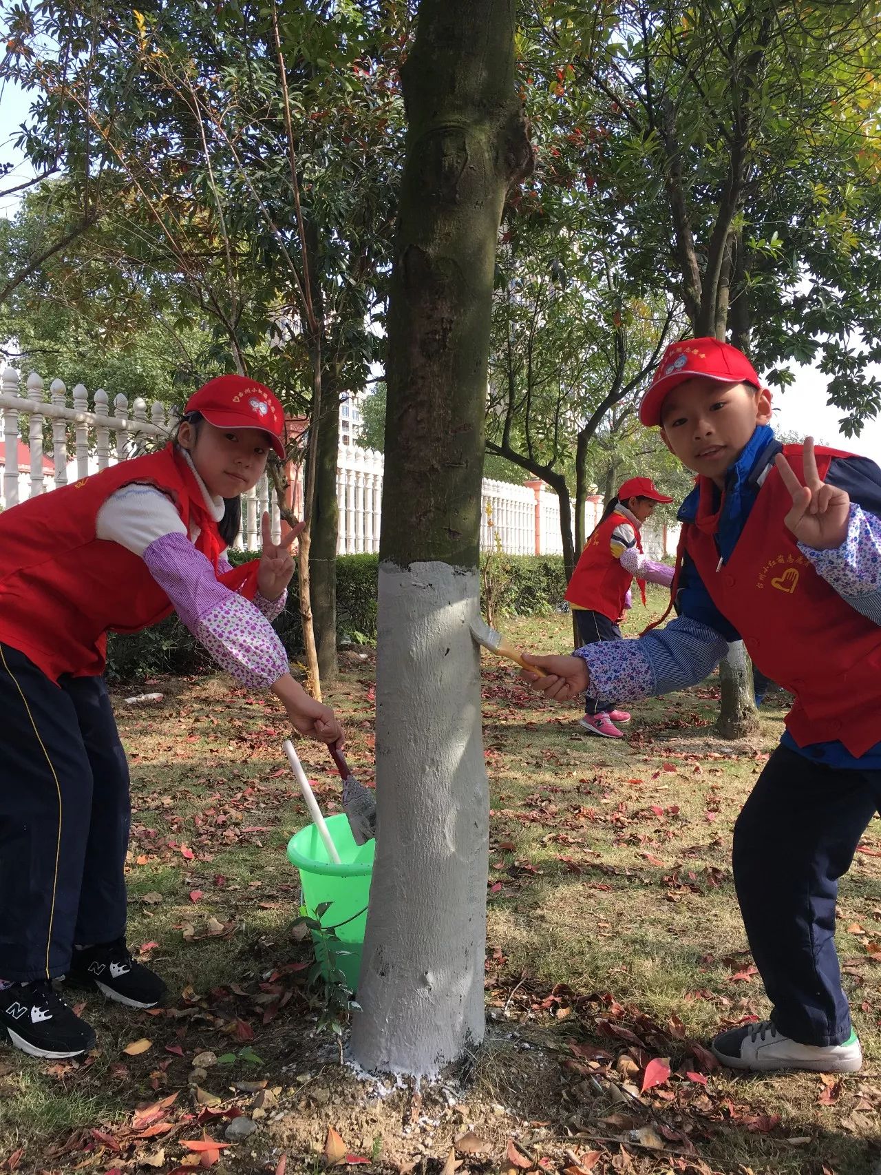 【湖滨校区】"美化校园 保护树木"——大雪节气,小红