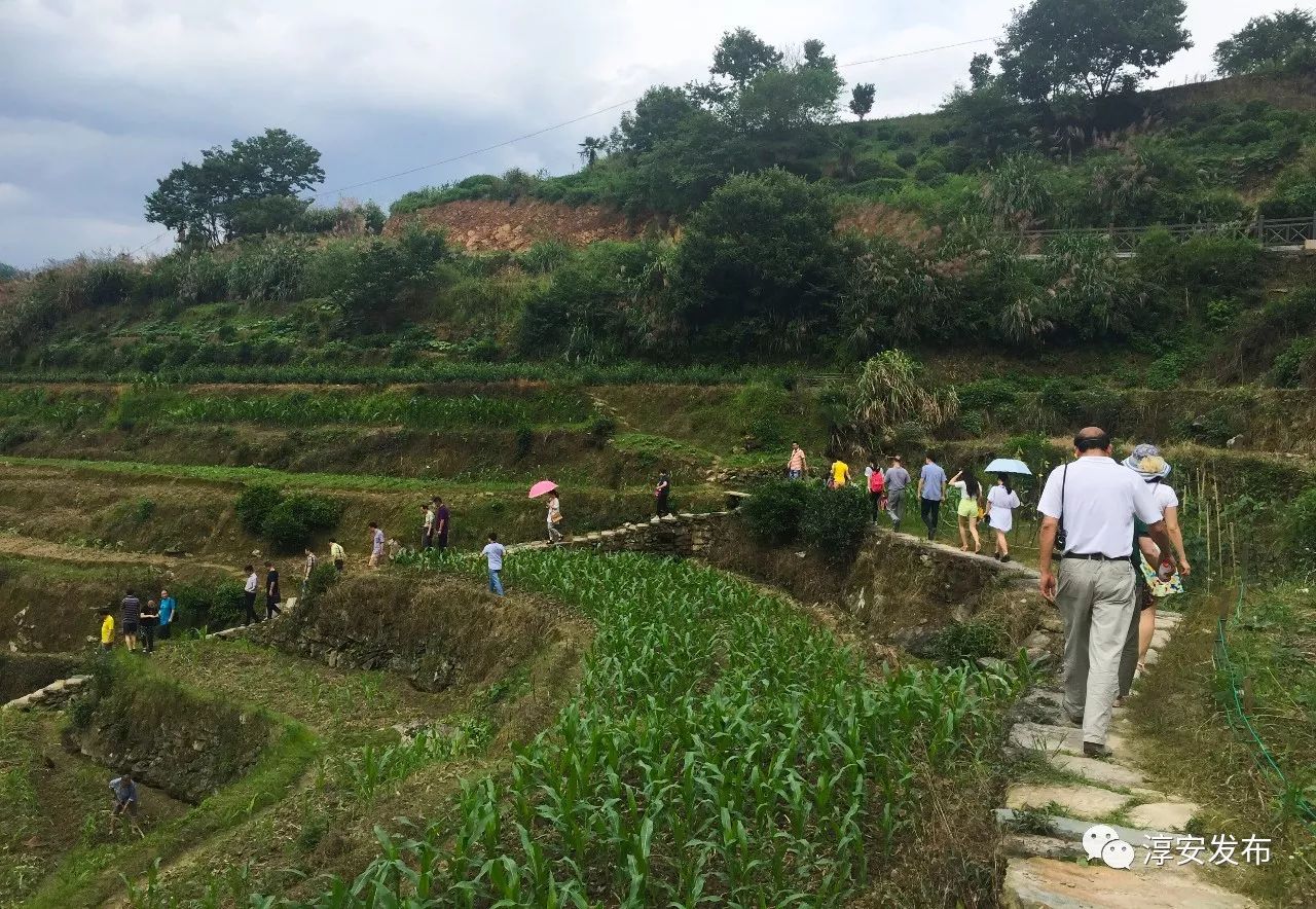 中洲镇位于淳安县西南部,是千岛湖的主要干流武强溪的发源地,更是