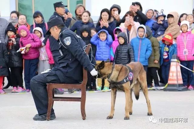 走进威海警犬基地,看"警界明星"是如何炼成的