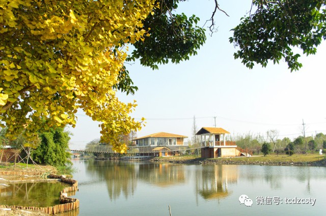 【电站村】太仓首个房车露营地开业啦!你想来体验一把吗?