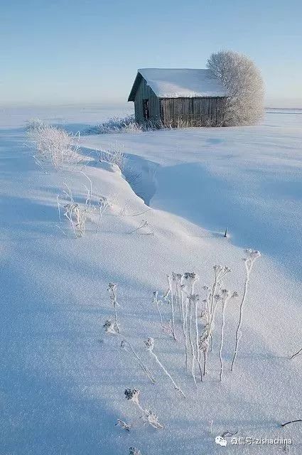 『大雪后,未落雪』