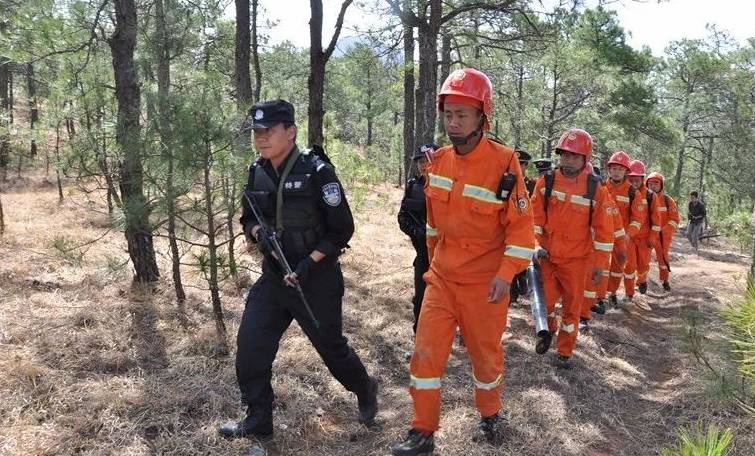 【绿水青山就是金山银山】又到防火期,古城区年度森林