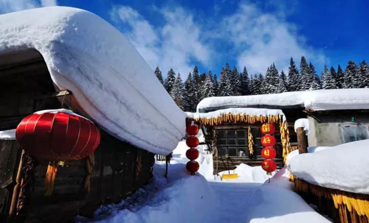 1月份的东北冷成狗而1月份的雪乡恰恰是雪最厚的时候来东北玩雪,就是