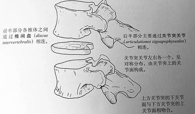 腰痛让你"压力山大"?