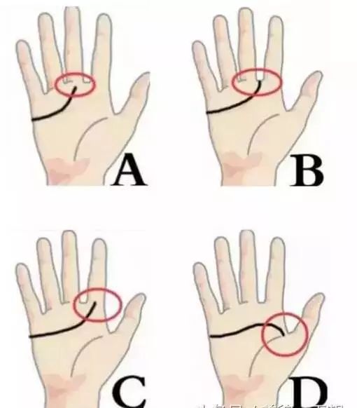 掌纹在中指食指之间 c.掌纹延伸到食指 d.