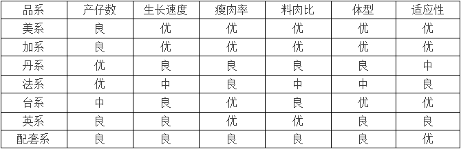 下表从产仔数,生长速度,瘦肉率,料肉比,体型,适应性进行分类比较