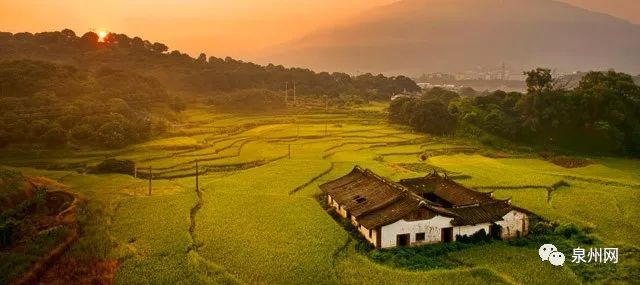 一起来认识一下 美岭村地处永春,安溪交界的莲花山西麓,方圆面积5