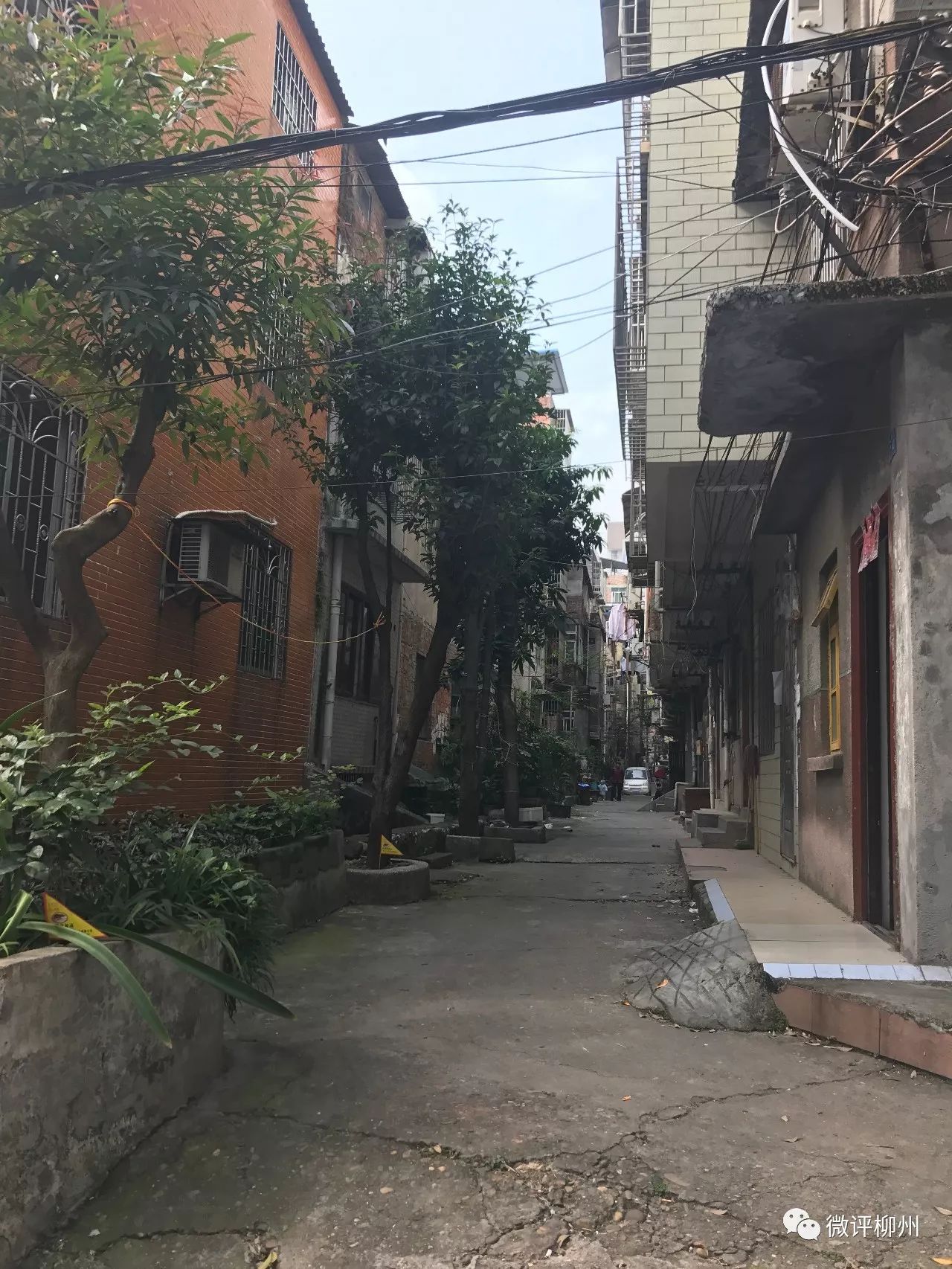 林馨 摄在拆完违建之后,柳北区政府计划对该城中村进行绿化,硬化