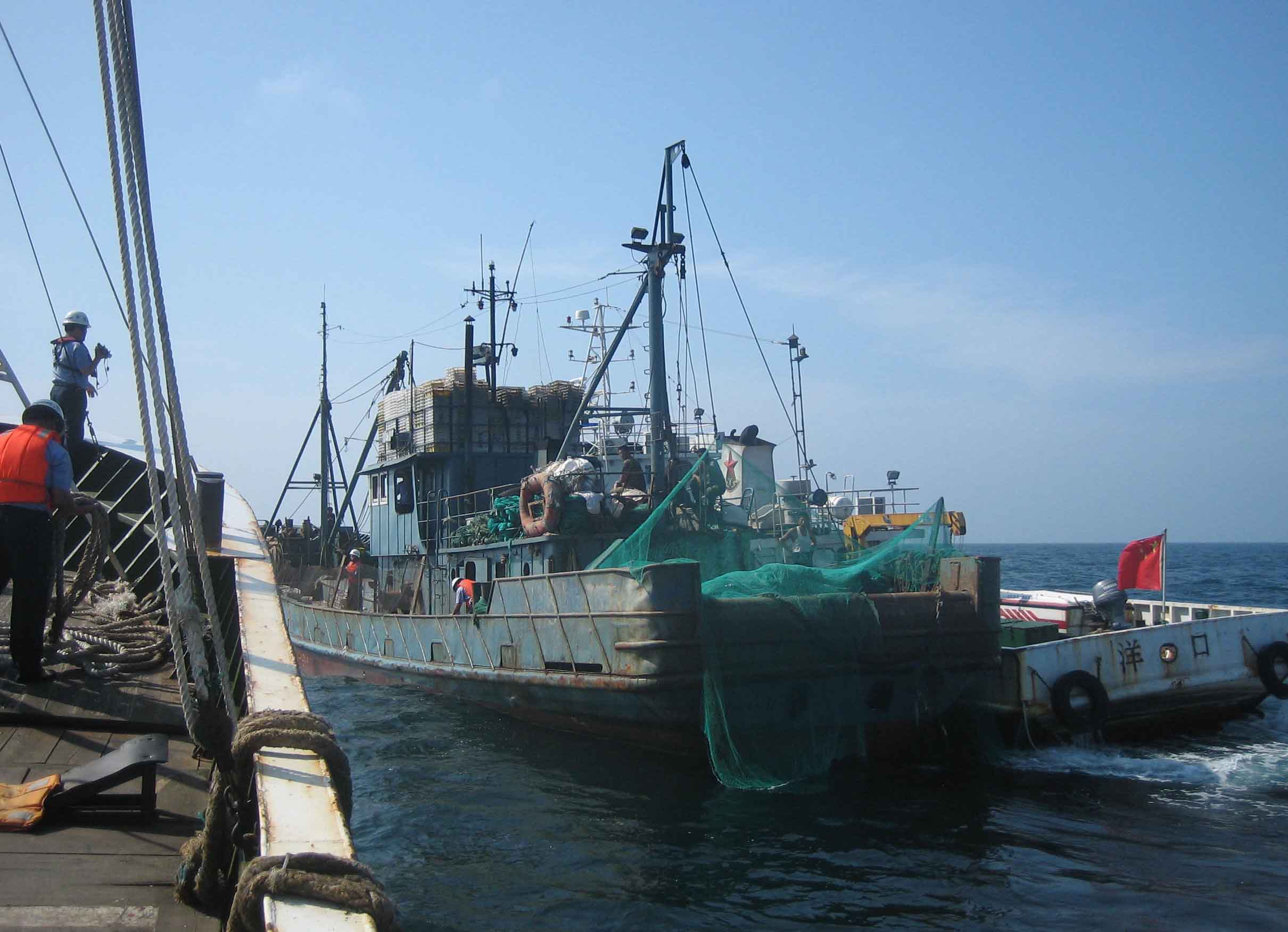 保护海洋渔业资源！烟台伏季休渔5月1