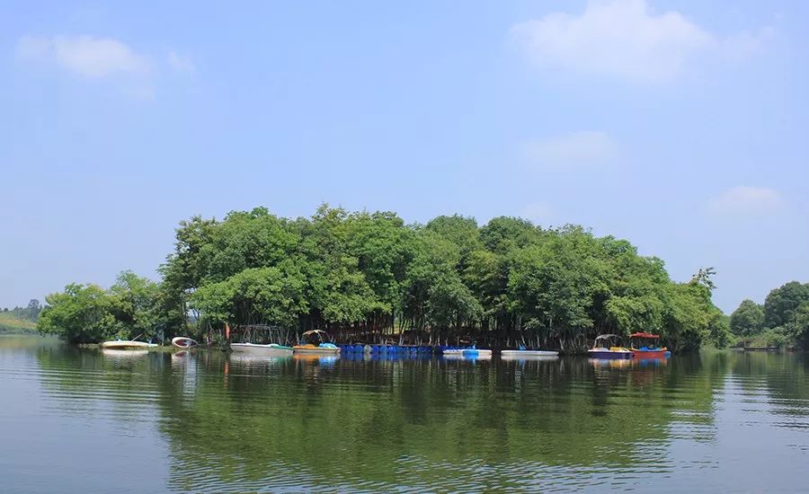 就是 神山湖旅游生态园!