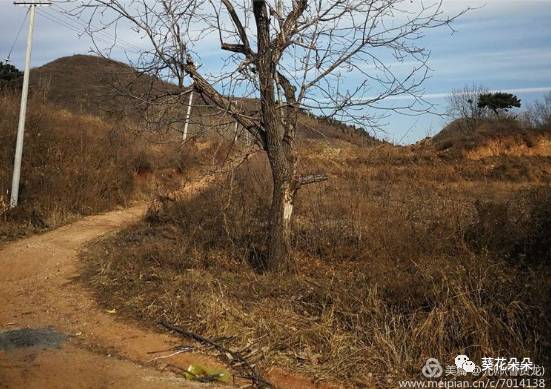 多图揭秘《三字经》赞美的“窦燕山”他后代咋样了