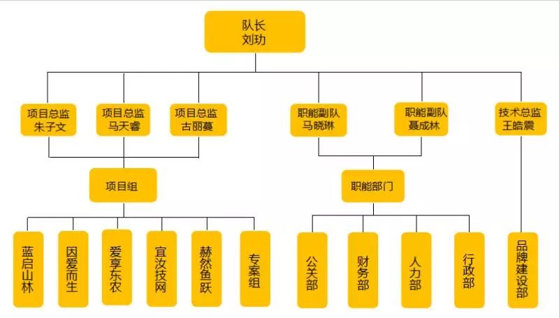 团队结构