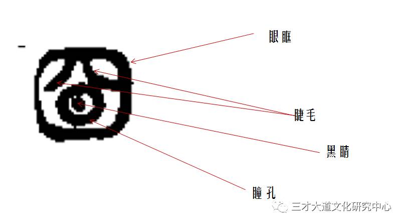 学点训诂学08目字的变化