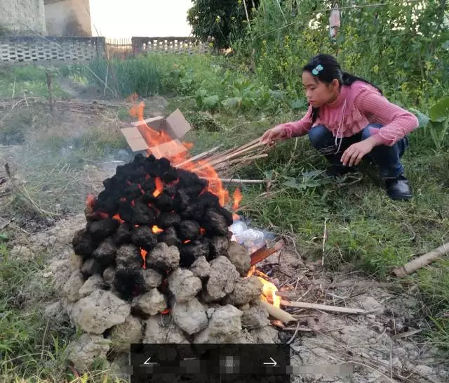 潮汕人小时候都是这样窑番薯,窑鸡的!