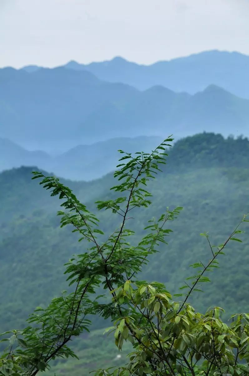 溪口妙高台，高有几许？妙在何处？ 探秘蒋介石隐而不退的幕后指挥所