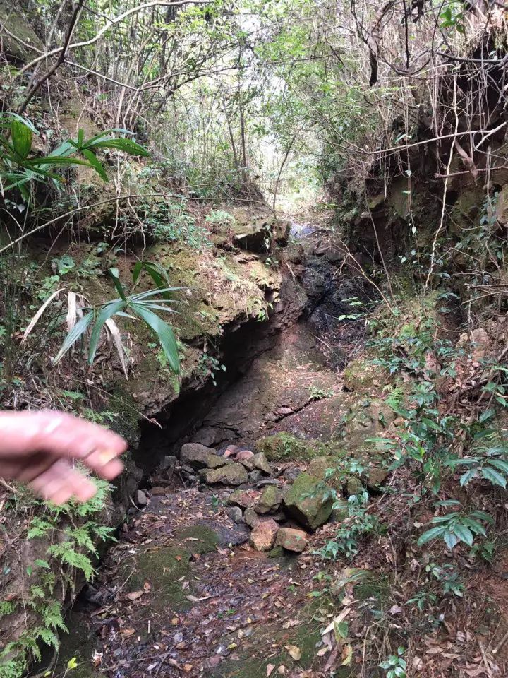 悲剧!王村86岁老人上山捡柴火失踪,找到时已无生命迹象!