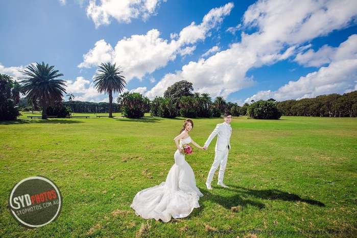 草坪婚纱照唯美图片_草坪婚纱照