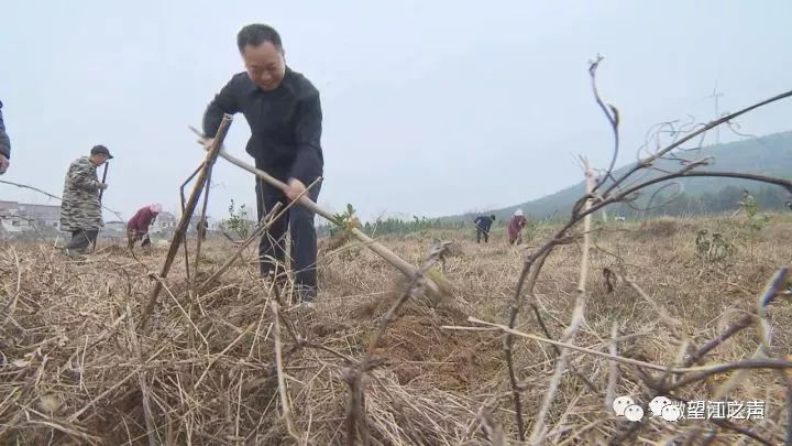 望江麦元乡有多少人口_盐亭县麻秧乡望江村