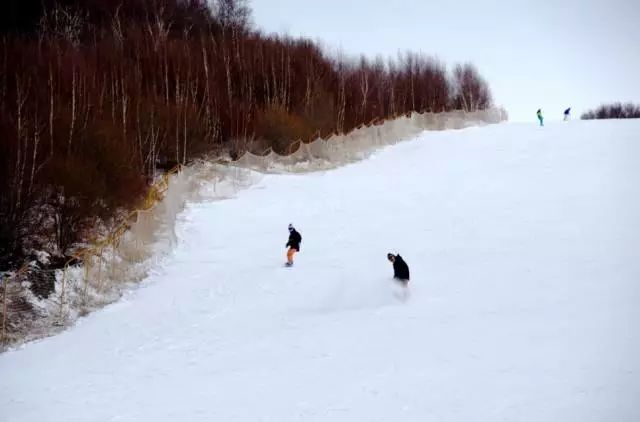 崇礼滑雪衣服怎么搭_崇礼滑雪(3)