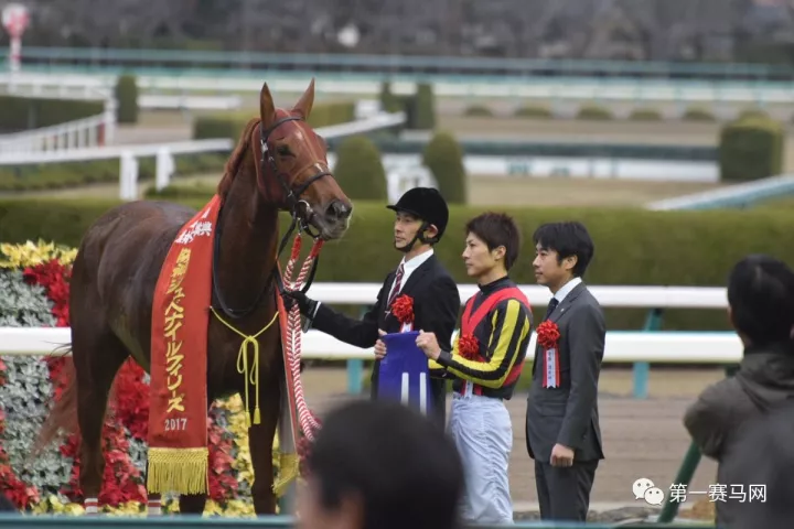 赛马:日本三冠王"黄金巨匠"之女摘日本阪神两岁母马赛