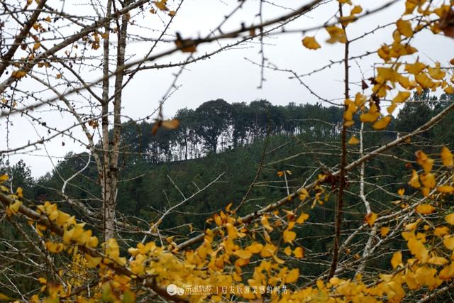 寒冬去哪里 温泉野趣在锅坑