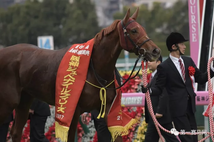 赛马:日本三冠王"黄金巨匠"之女摘日本阪神两岁母马赛