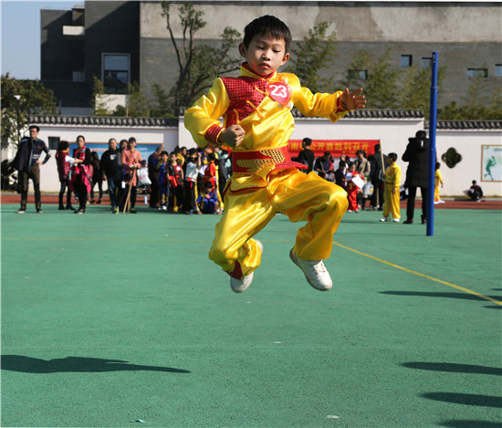 来自"全国武术之乡"平阳武协代表队荣获团体总分第一名,龙湾区南拳