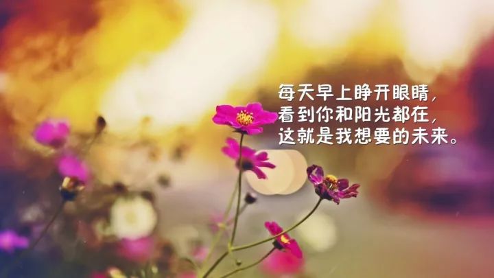 早安人生感悟,早安心语图片带字