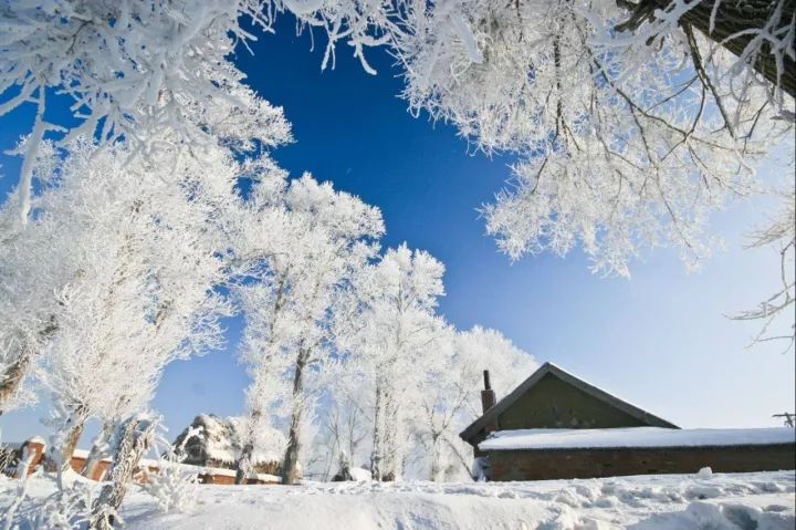 错过再等一年!这10个冬季观雪圣地,每一个都能美哭你!