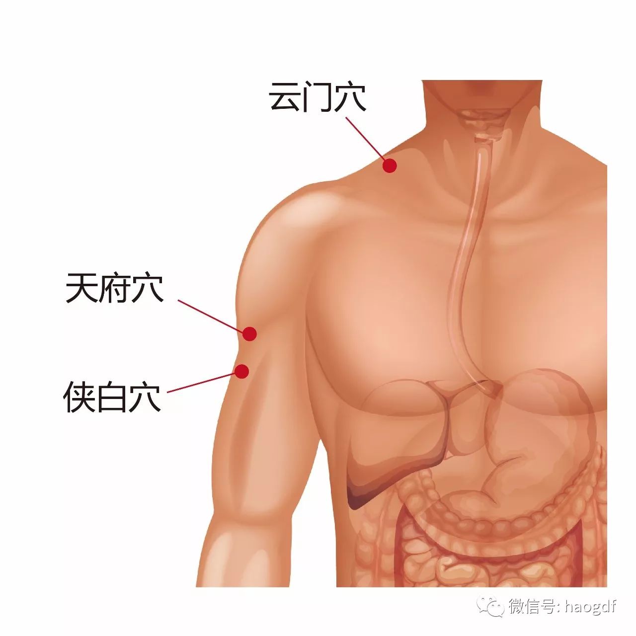 内衣治百病_包治百病图片(3)