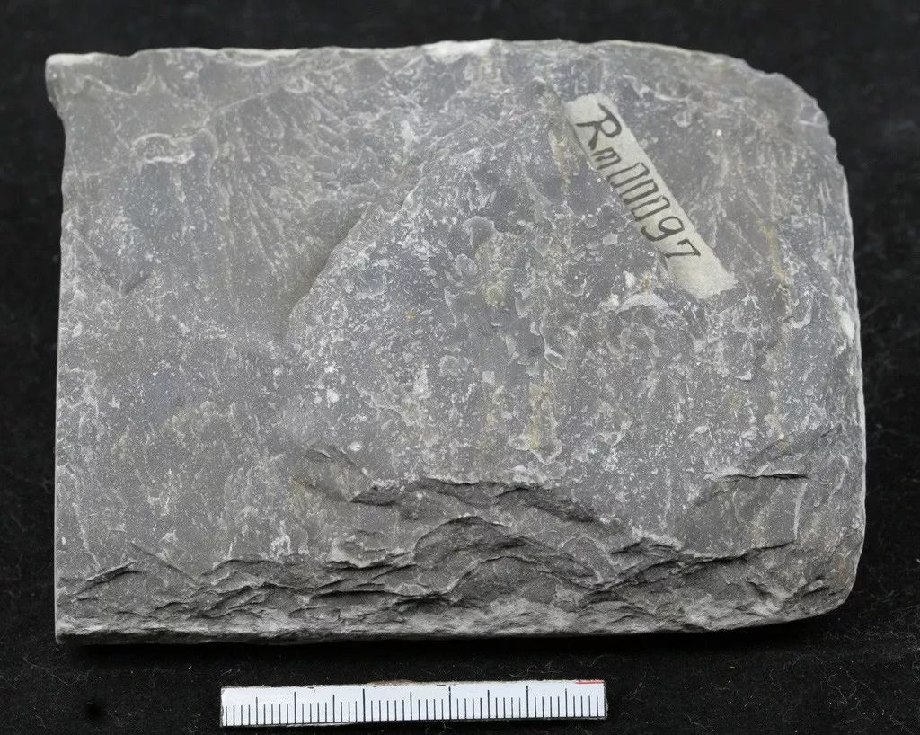 中文名称:硅质灰岩英文名称:silica limestone简要特征描述:深灰色;泥