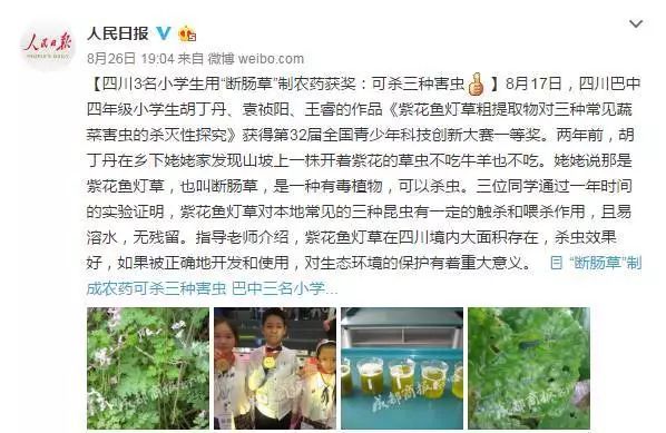 巴中三名00后发明王者农药登上湖南卫视天天向上舞台